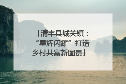 清丰县城关镇：“星辉闪耀”打造乡村共富新图景