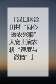渌口区淦田村“同心振农兴粮”大赛上演农耕“速度与激情”