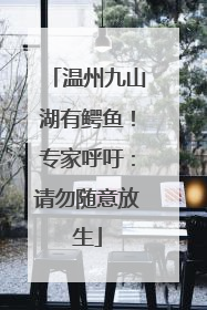 温州九山湖有鳄鱼！专家呼吁：请勿随意放生