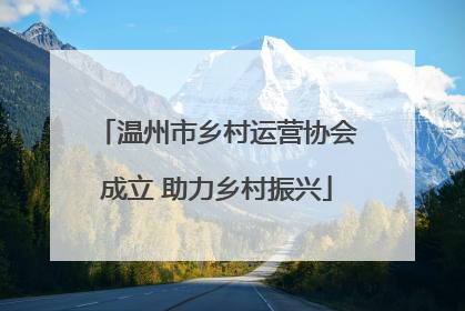 温州市乡村运营协会成立 助力乡村振兴