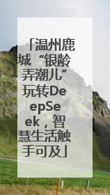 温州鹿城“银龄弄潮儿”玩转DeepSeek，智慧生活触手可及