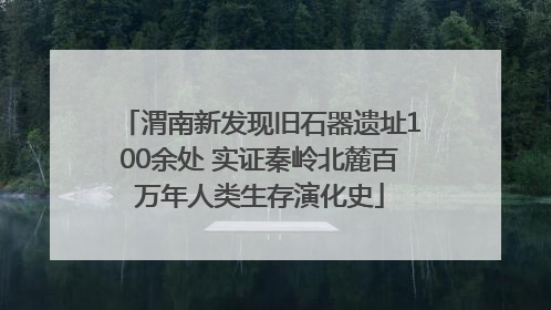 渭南新发现旧石器遗址100余处 实证秦岭北麓百万年人类生存演化史