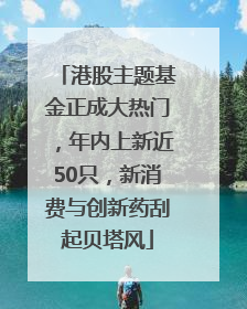 港股主题基金正成大热门，年内上新近50只，新消费与创新药刮起贝塔风