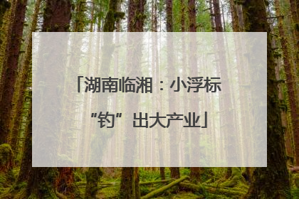 湖南临湘：小浮标“钓”出大产业