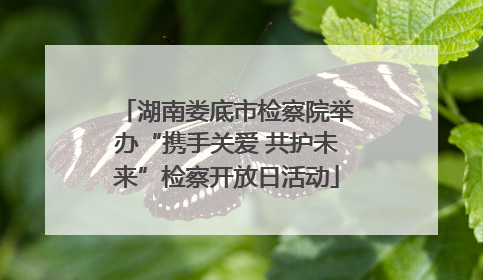 湖南娄底市检察院举办“携手关爱 共护未来”检察开放日活动