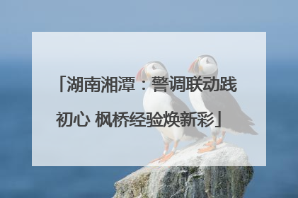 湖南湘潭：警调联动践初心 枫桥经验焕新彩