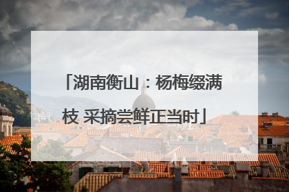 湖南衡山：杨梅缀满枝 采摘尝鲜正当时