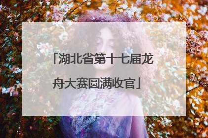 湖北省第十七届龙舟大赛圆满收官