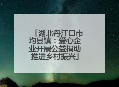 湖北丹江口市均县镇：爱心企业开展公益捐助推进乡村振兴