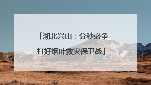 湖北兴山：分秒必争 打好烟叶救灾保卫战