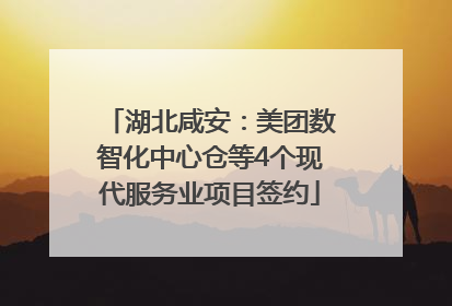 湖北咸安：美团数智化中心仓等4个现代服务业项目签约