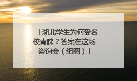 湖北学生为何受名校青睐？答案在这场咨询会（组图）