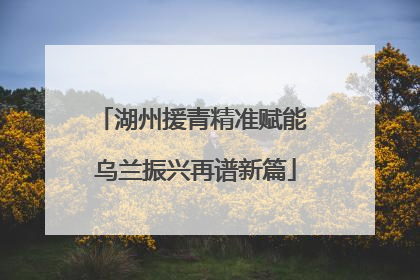 湖州援青精准赋能 乌兰振兴再谱新篇