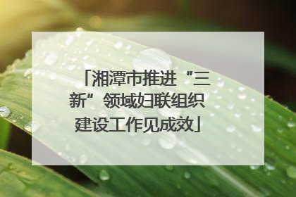 湘潭市推进“三新”领域妇联组织建设工作见成效