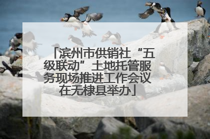 滨州市供销社“五级联动”土地托管服务现场推进工作会议在无棣县举办