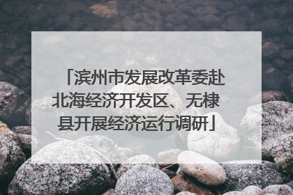 滨州市发展改革委赴北海经济开发区、无棣县开展经济运行调研