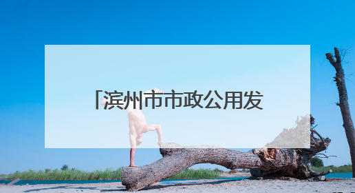 滨州市市政公用发展服务中心举办“一起‘粽’动员”端午节主题活动