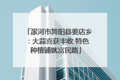 漯河市舞阳县姜店乡：大蒜喜获丰收 特色种植铺就富民路
