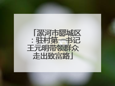 漯河市郾城区：驻村第一书记王元明带领群众走出致富路