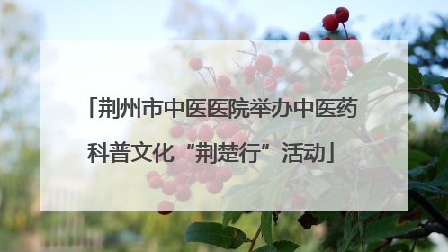 荆州市中医医院举办中医药科普文化“荆楚行”活动