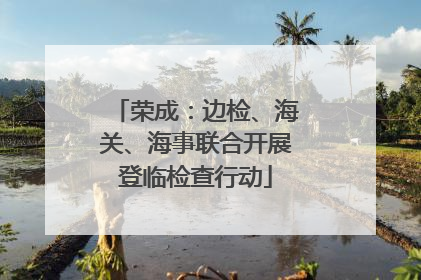 荣成：边检、海关、海事联合开展登临检查行动