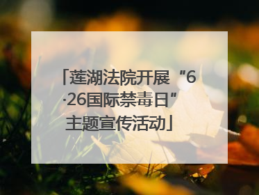 莲湖法院开展“6·26国际禁毒日”主题宣传活动