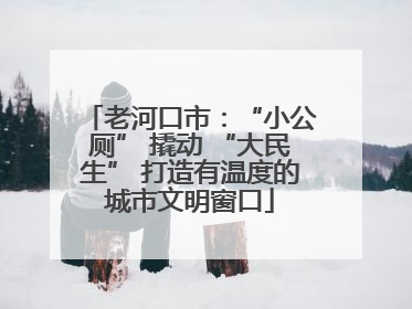老河口市：“小公厕” 撬动 “大民生” 打造有温度的城市文明窗口