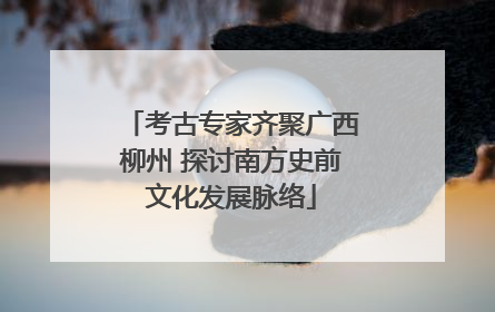 考古专家齐聚广西柳州 探讨南方史前文化发展脉络