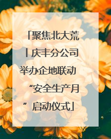 聚焦北大荒丨庆丰分公司举办企地联动“安全生产月”启动仪式