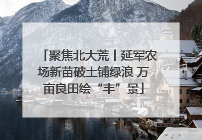 聚焦北大荒丨延军农场新苗破土铺绿浪 万亩良田绘“丰”景