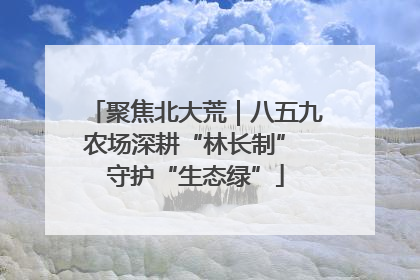 聚焦北大荒｜八五九农场深耕“林长制” 守护“生态绿”