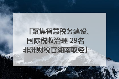 聚焦智慧税务建设、国际税收治理 29名非洲财税官湖南取经