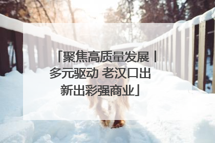 聚焦高质量发展丨多元驱动 老汉口出新出彩强商业