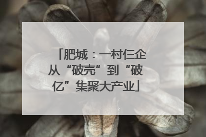 肥城：一村仨企从“破壳”到“破亿”集聚大产业