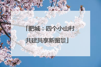 肥城：四个小山村共建共享新图景