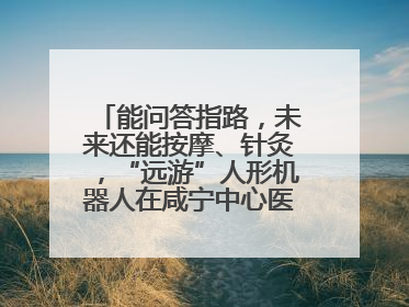 能问答指路，未来还能按摩、针灸，“远游”人形机器人在咸宁中心医院上岗