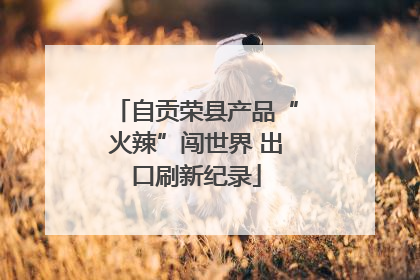 自贡荣县产品“火辣”闯世界 出口刷新纪录