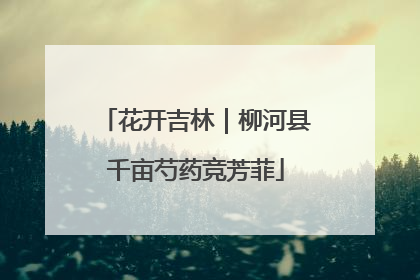 花开吉林｜柳河县千亩芍药竞芳菲