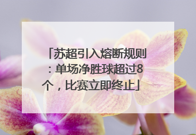 苏超引入熔断规则：单场净胜球超过8个，比赛立即终止
