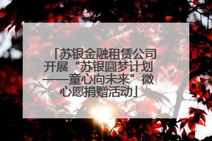 苏银金融租赁公司开展“苏银圆梦计划——童心向未来”微心愿捐赠活动