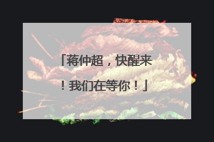 蒋仲超，快醒来！我们在等你！