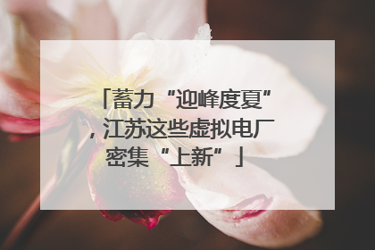 蓄力“迎峰度夏”，江苏这些虚拟电厂密集“上新”