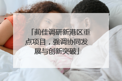 蔺佳调研新港区重点项目，强调协同发展与创新突破