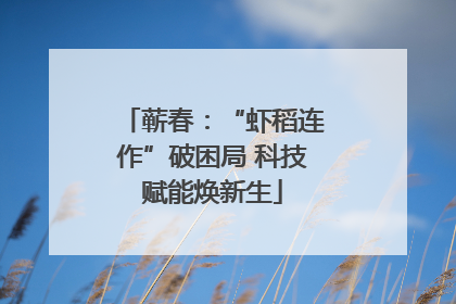 蕲春：“虾稻连作”破困局 科技赋能焕新生