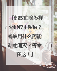 蚂蚁怕啥怎样灭蚂蚁不留痕？蚂蚁用什么药能彻底消灭？答案在这！