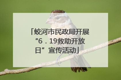 蛟河市民政局开展“6．19救助开放日”宣传活动