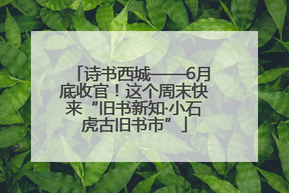 诗书西城——6月底收官！这个周末快来“旧书新知·小石虎古旧书市”