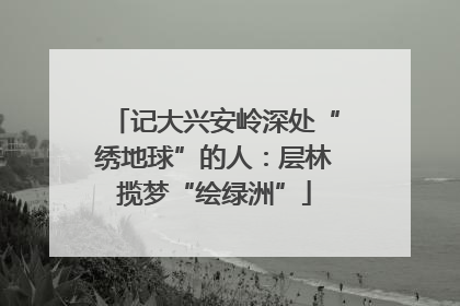 记大兴安岭深处“绣地球”的人：层林揽梦“绘绿洲”