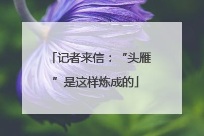 记者来信：“头雁”是这样炼成的