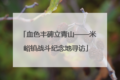 血色丰碑立青山——米峪镇战斗纪念地寻访